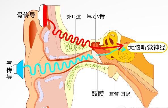 �д�ҽ����⣺���Զ���