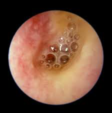 ������ŧ���������������ô��