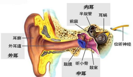 ������ŧΣ�����ˣ����ɺ���