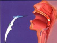 ������ʴ���Ĵ�Σ��